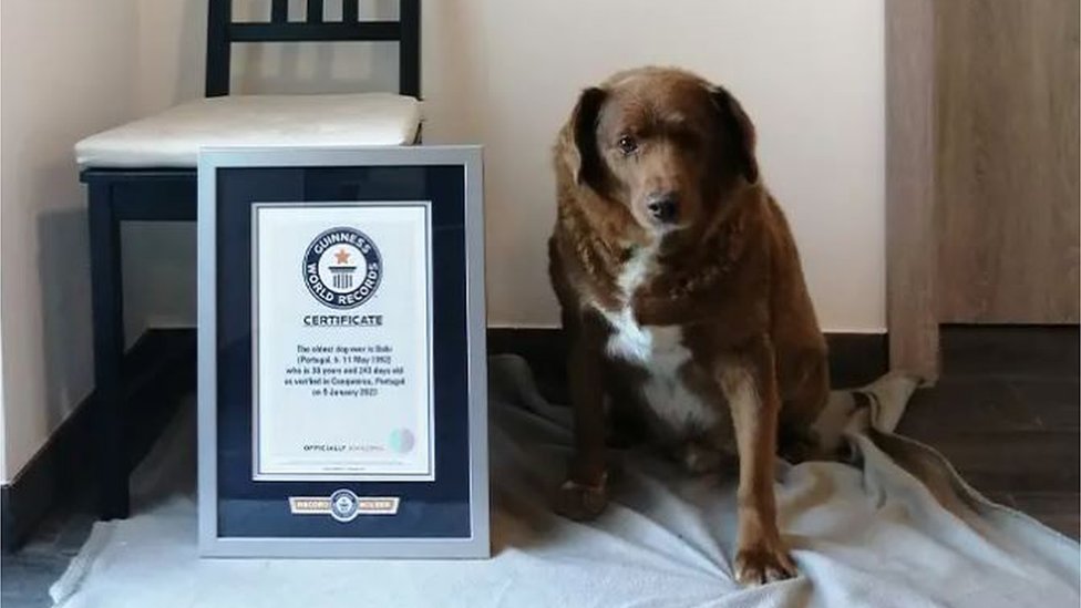 Bobi with his Guinness World Record certificate
