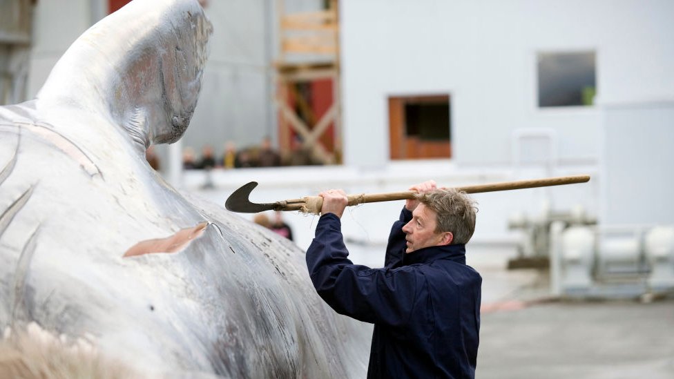 Caza de ballenas en Islandia