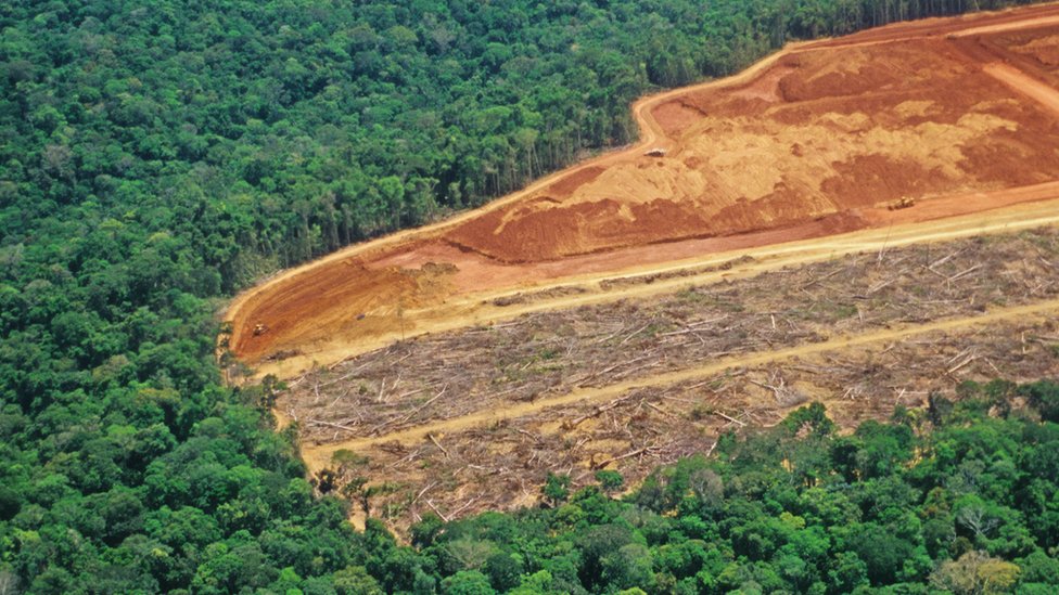 Deforestación en la Amazonía.
