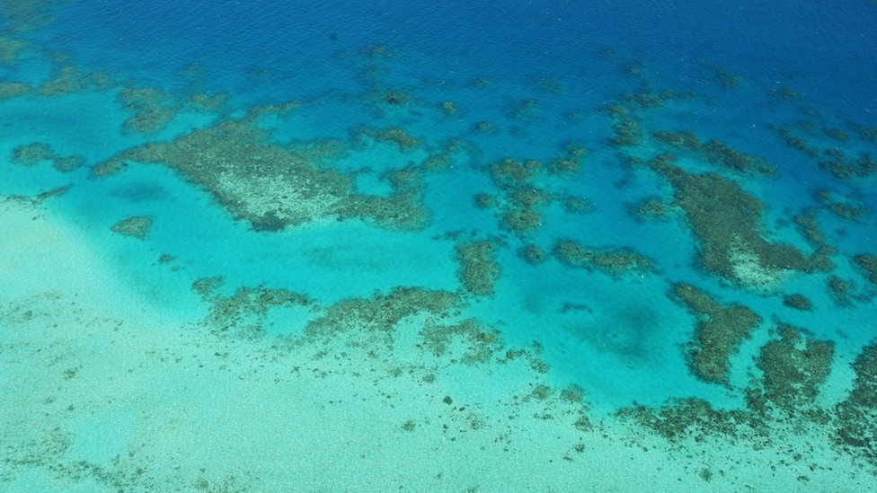 Вид с воздуха на Большой Барьерный риф. Глубокая синяя вода вдали и светло-голубая на мелководье на переднем плане. Коралловые узоры посередине.