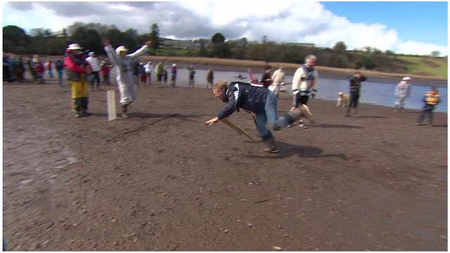 what-is-a-mud-cricket-telegraph