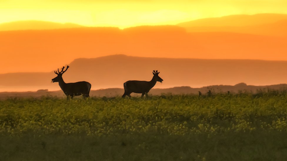 Your Pictures Of Scotland 26 June 3 July Bbc News