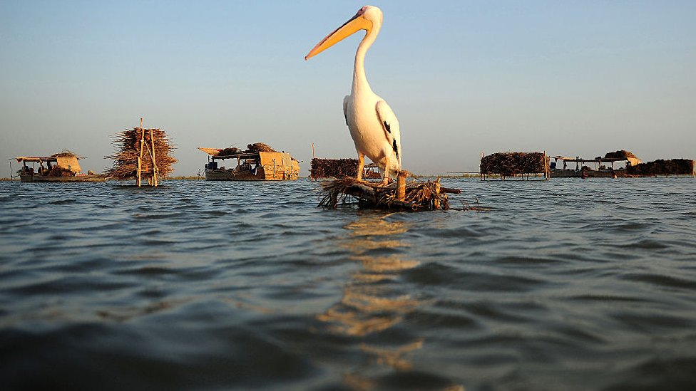 Pakistan floods: Officials struggle to stop biggest lake overflowing