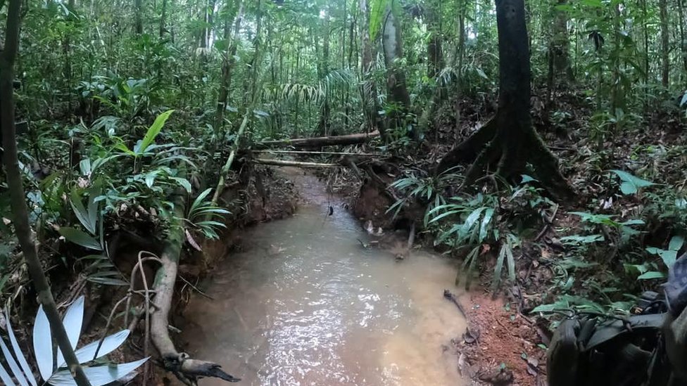 The area near where a footprint was found in the jungle on 18 May