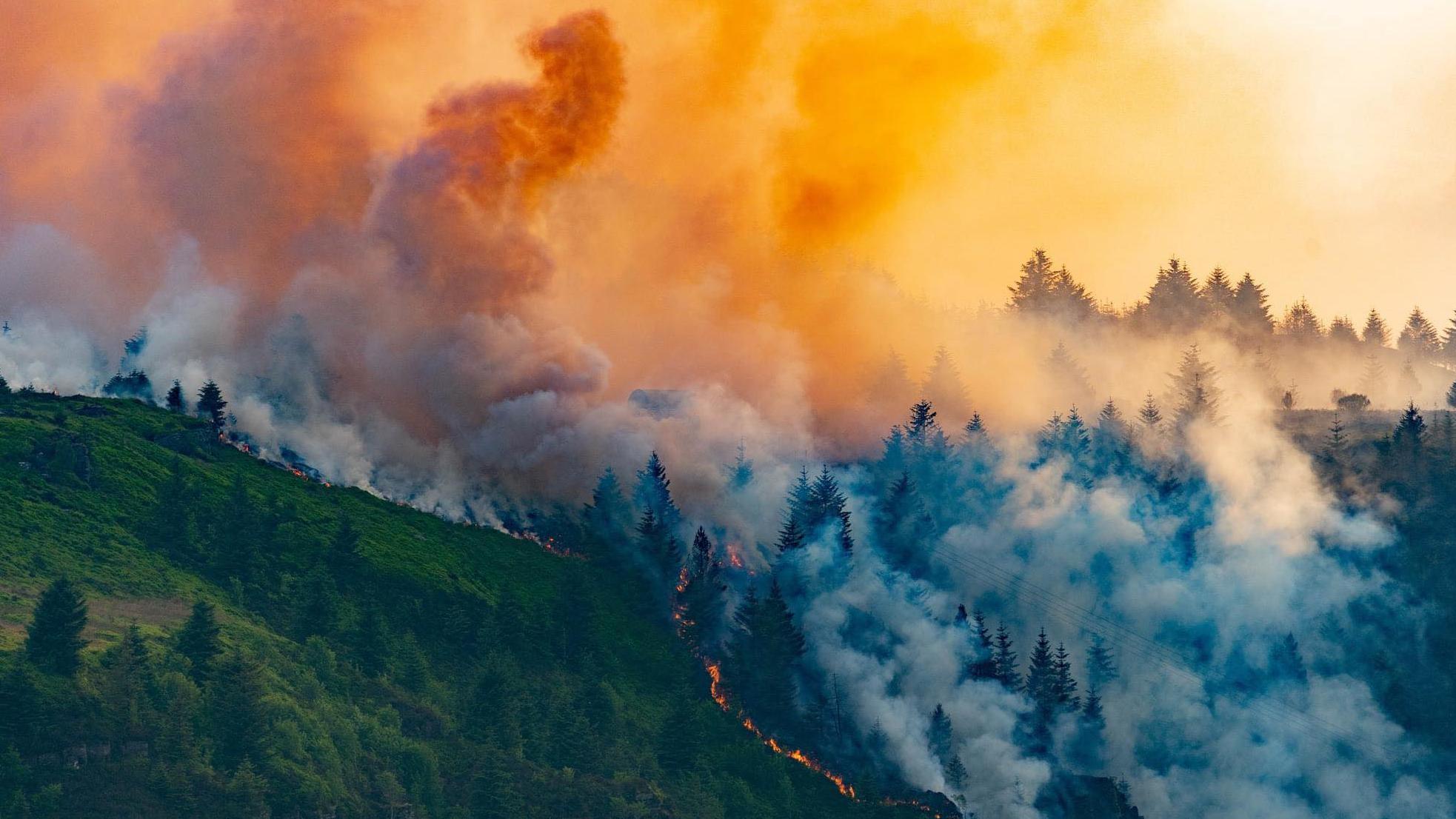 Rhigos Wildfire size of 300 football pitches on mountain BBC News