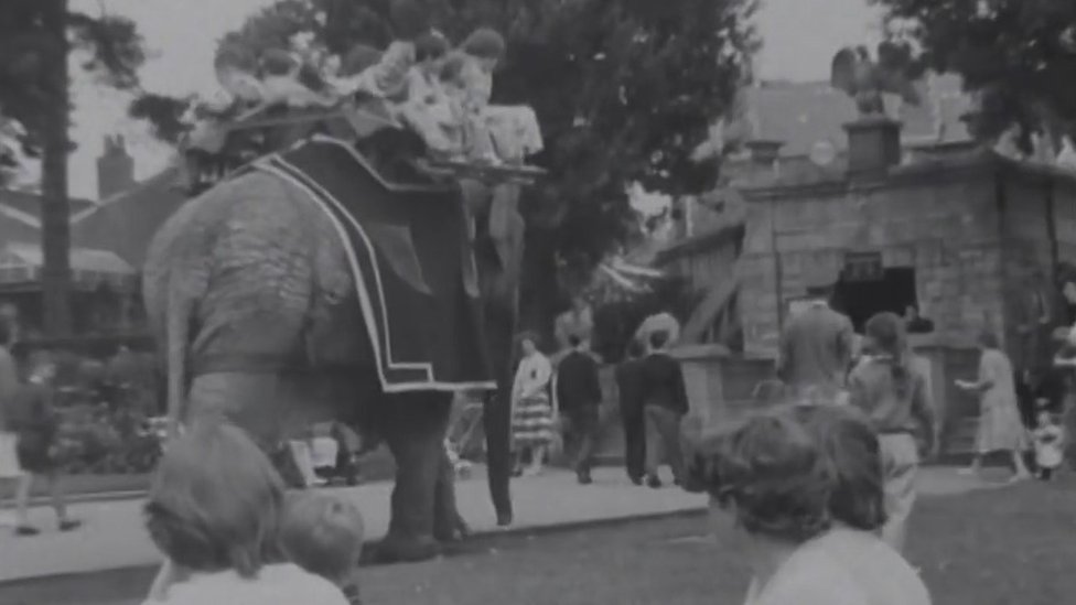Архивный снимок Бристольского зоопарка