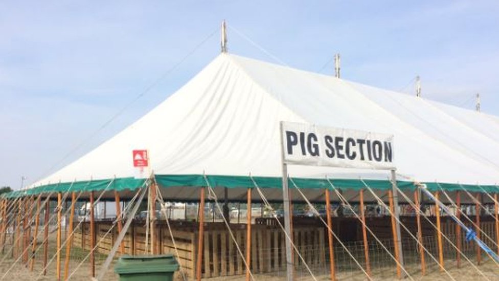Пустая палатка для свиней на сельскохозяйственной выставке в Дриффилде