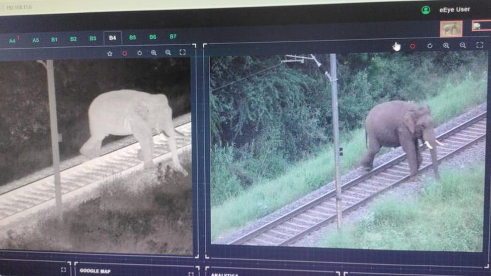 Cameras showing thermal and live images of elephants on the track