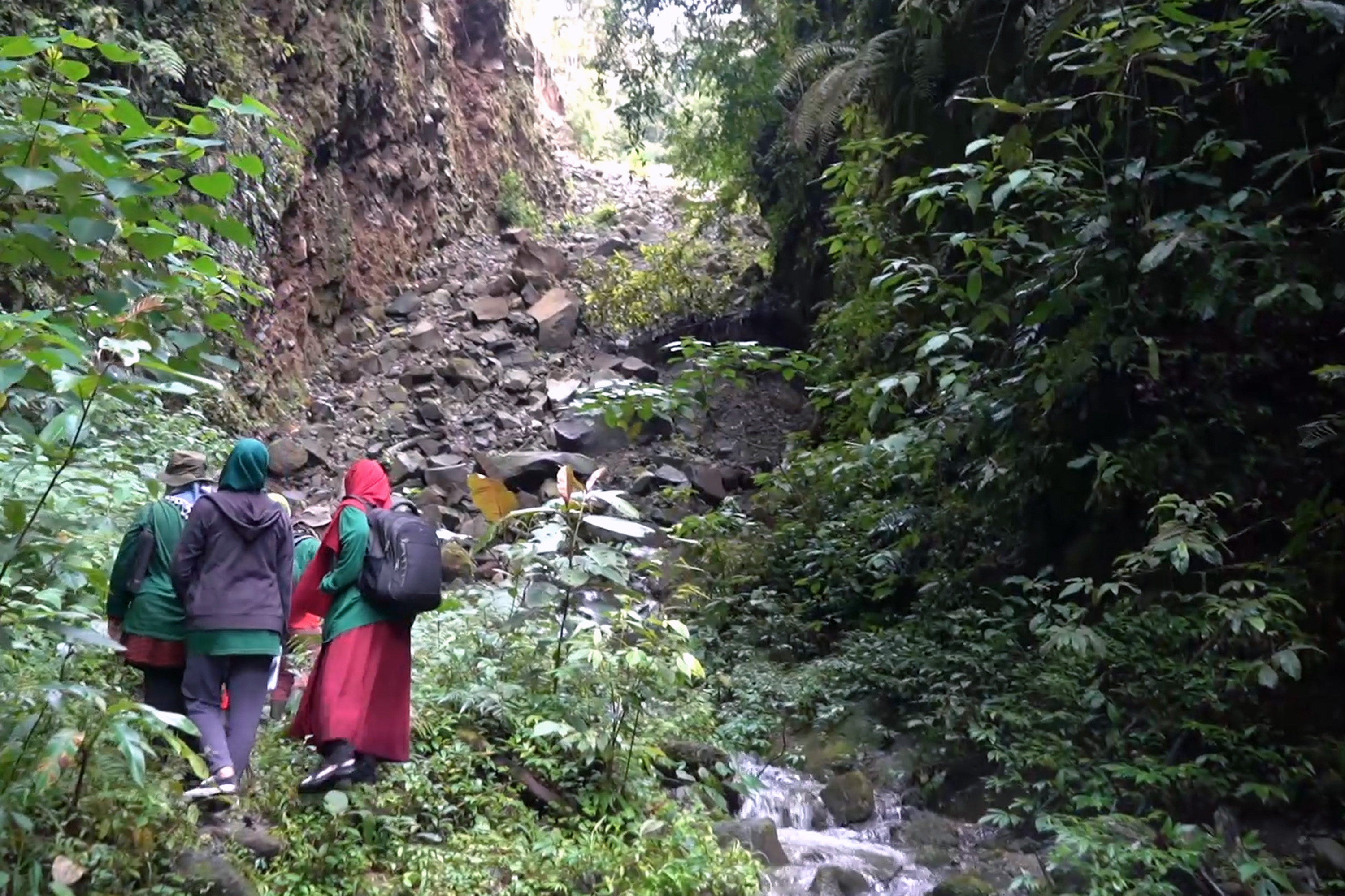 Perempuan, ibu rumah tangga, penjaga hutan, Aceh