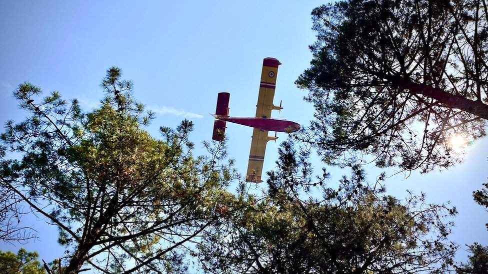 A Canadair 'water bomber' dropping water on the forest in La-Teste-de-Buch, Gironde, France
