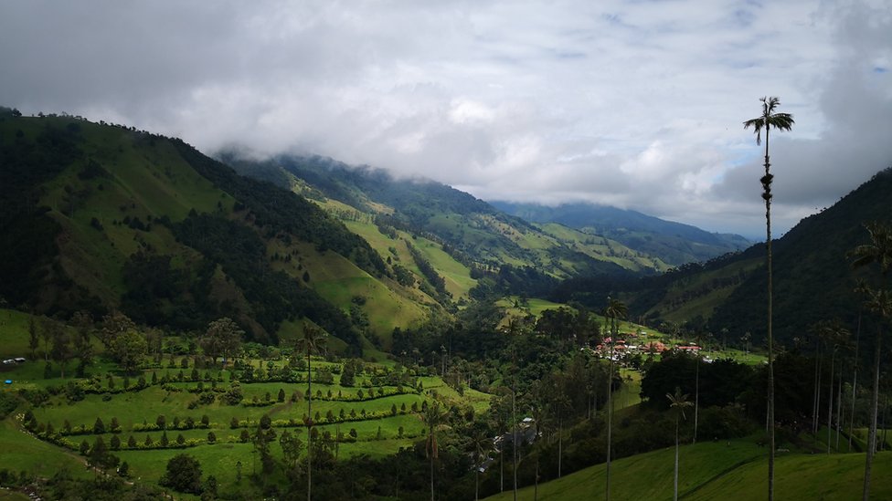Foto