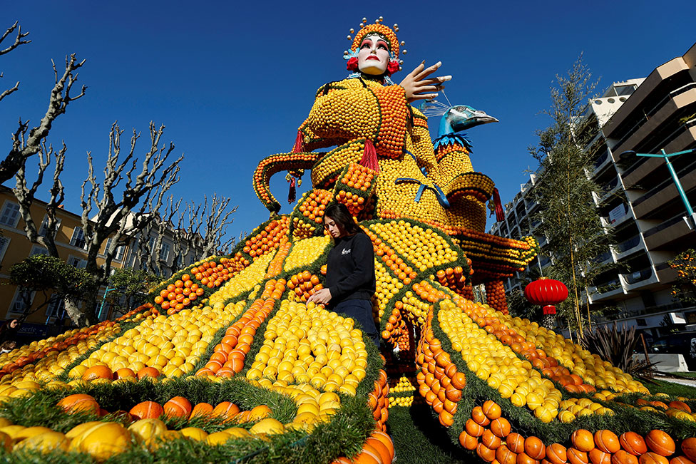 عامل يضع اللمسات الأخيرة بتمثال مصنوع من ثمار الليمون والبرتقال ، يحمل اسم "أبورا بكين"، في مهرجان الليمون في مينتون الفرنسية.