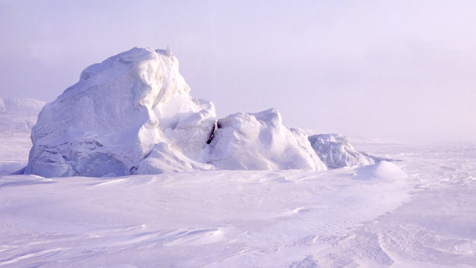 Arctic