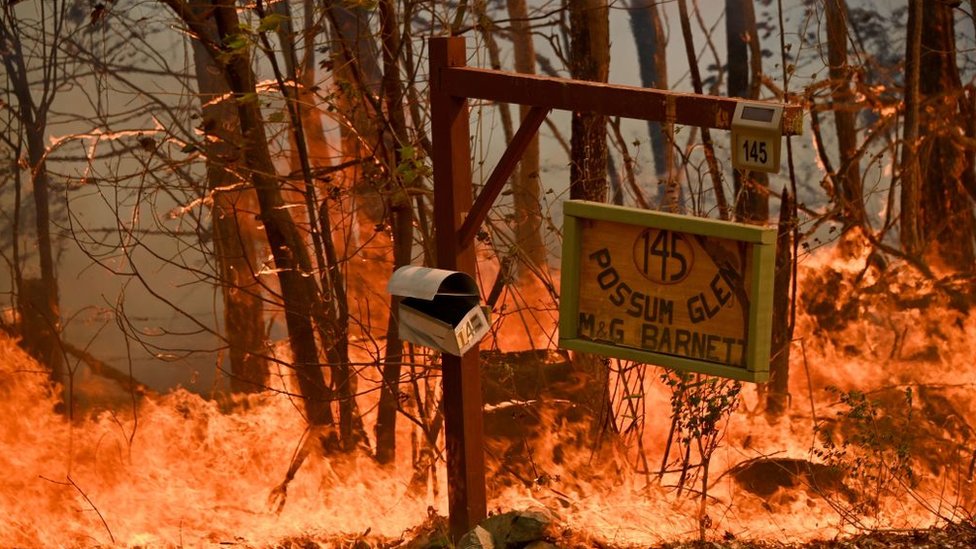 12 ноября возле дома недалеко от Тари, в 350 км к северу от Сиднея горит лесной пожар