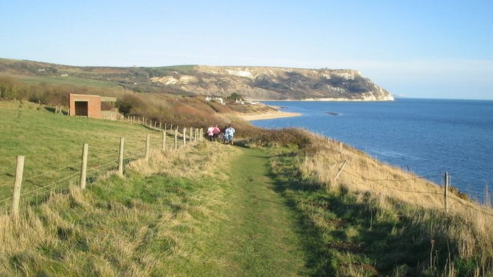 Ringstead Bay Beach Woodlouse Find First For Dorset c News