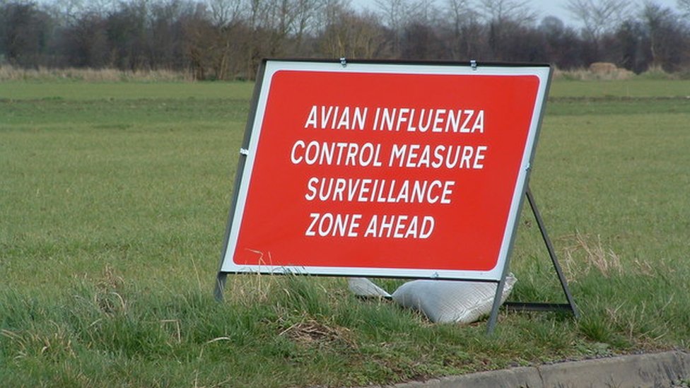 bird flu temporary control zone sign