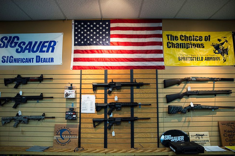 Puške tipa AR-15 i sačmarice na prodaju u Virdžiniji