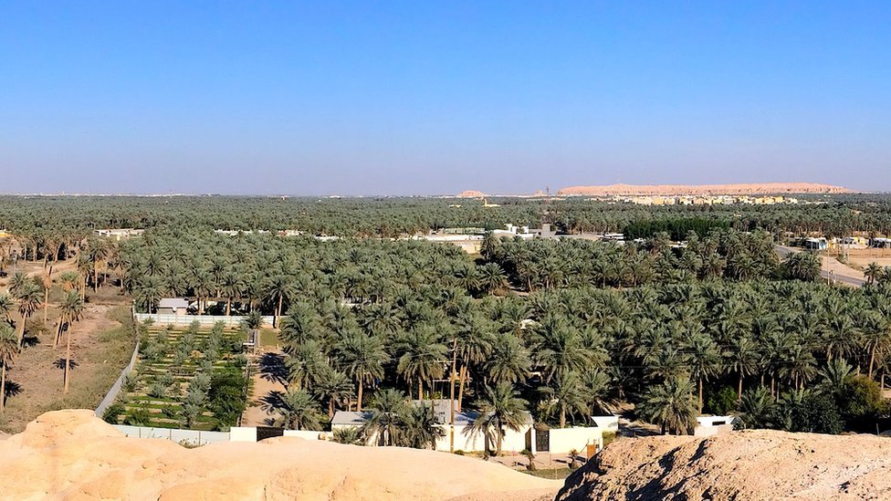 Al-Ahsa oasis in Saudi Arabia