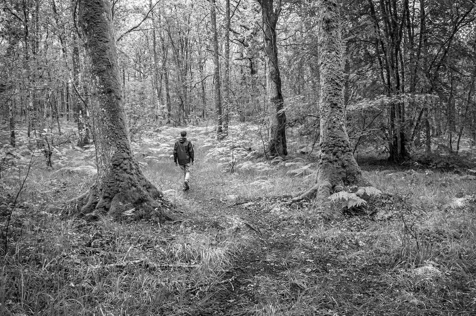 Человек идет один в лесу
