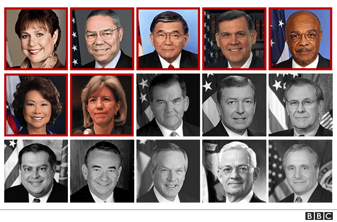 Bush cabinet