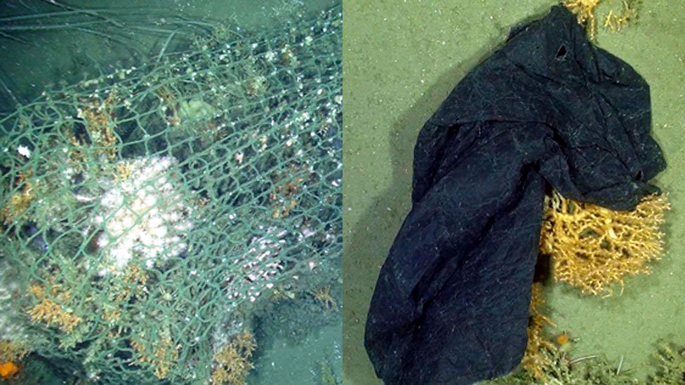 Потерянная рыболовная сеть и пластиковый пакет зацепились за коралл