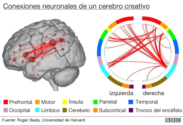 Conexiones neuronales de un cerebro creativo