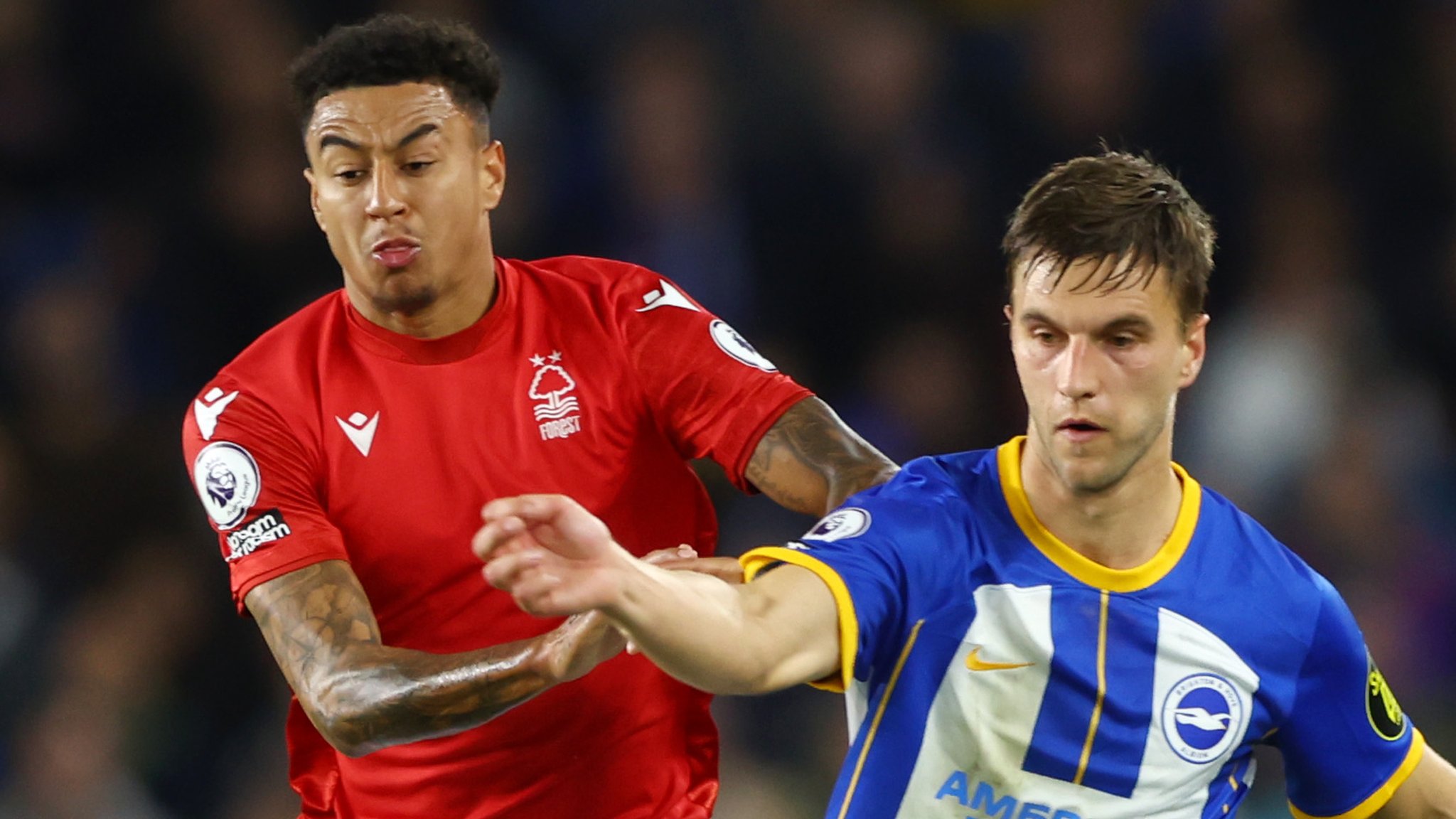 Brighton & Hove Albion 0-0 Nottingham Forest: Hosts held to goalless draw by strugglers