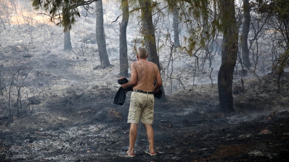 Atina'nın kuzey bölgelerinden yaşayan bir kişi, yangının küle çevirdiği yerleri inceliyor
