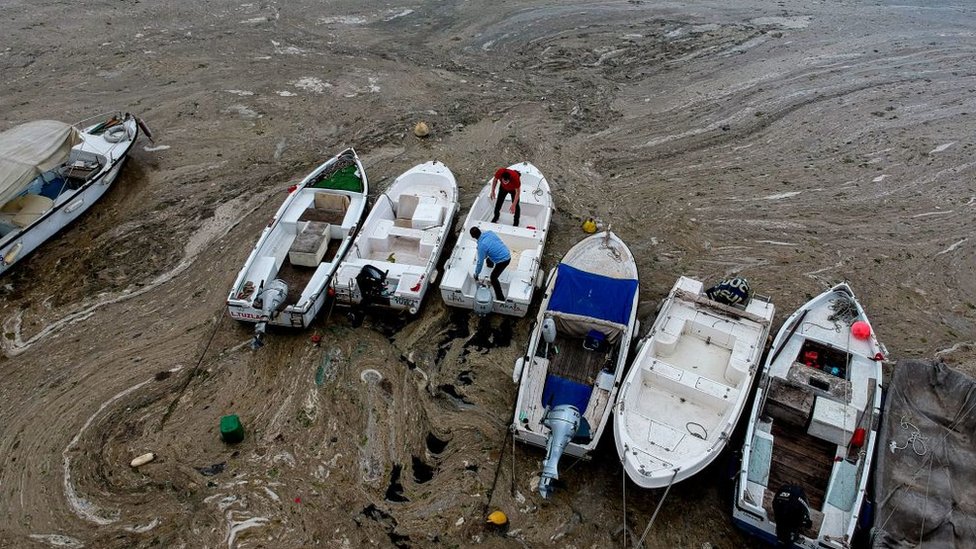 Marmara Denizi'nde yaşanan müsilaj birikmesi çevresel kaygıları derinleştirdi.