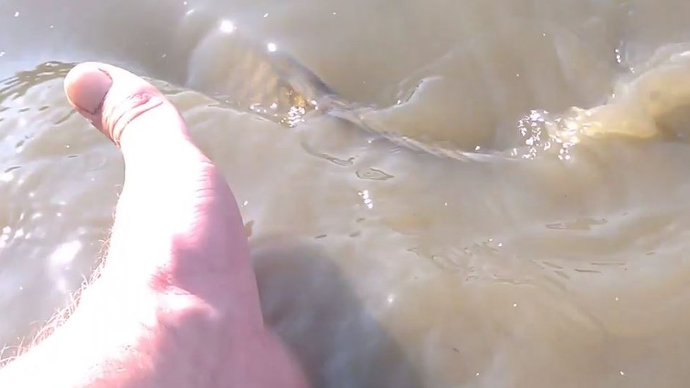 Карп, видимый в воде у озера Сэндаун-Каноэ