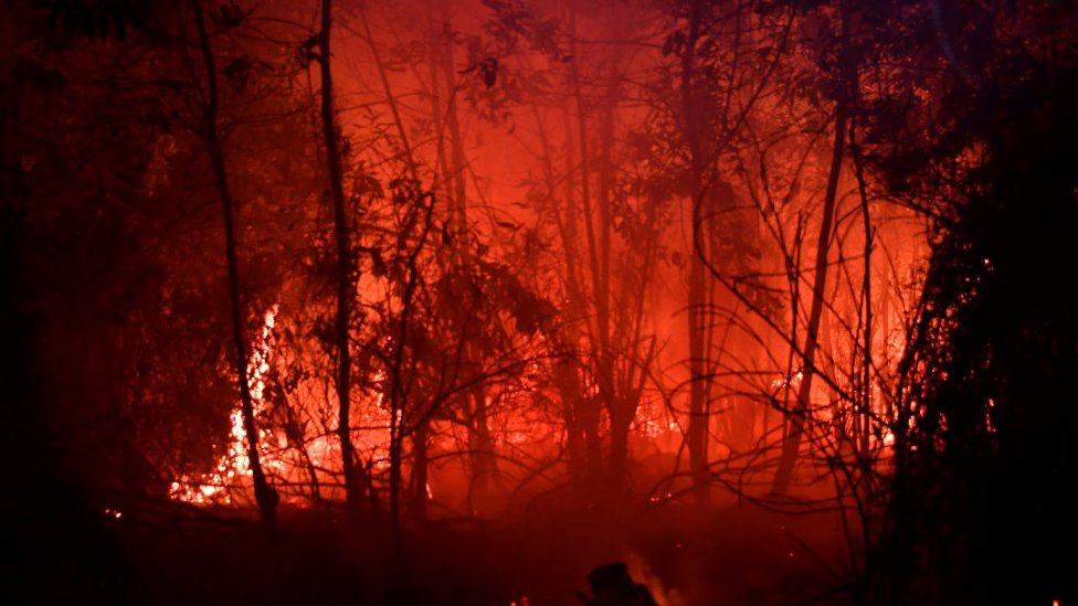 Пожар на земле рядом с резиденцией в Пеканбару, провинция Риау, 13 сентября 2019 г.