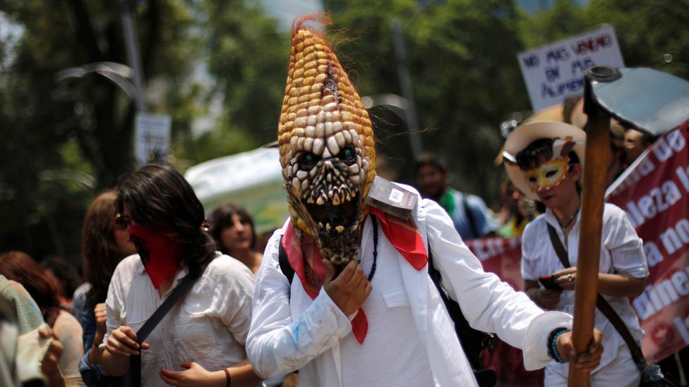 Protesta contra Monsanto en Ciudad de México