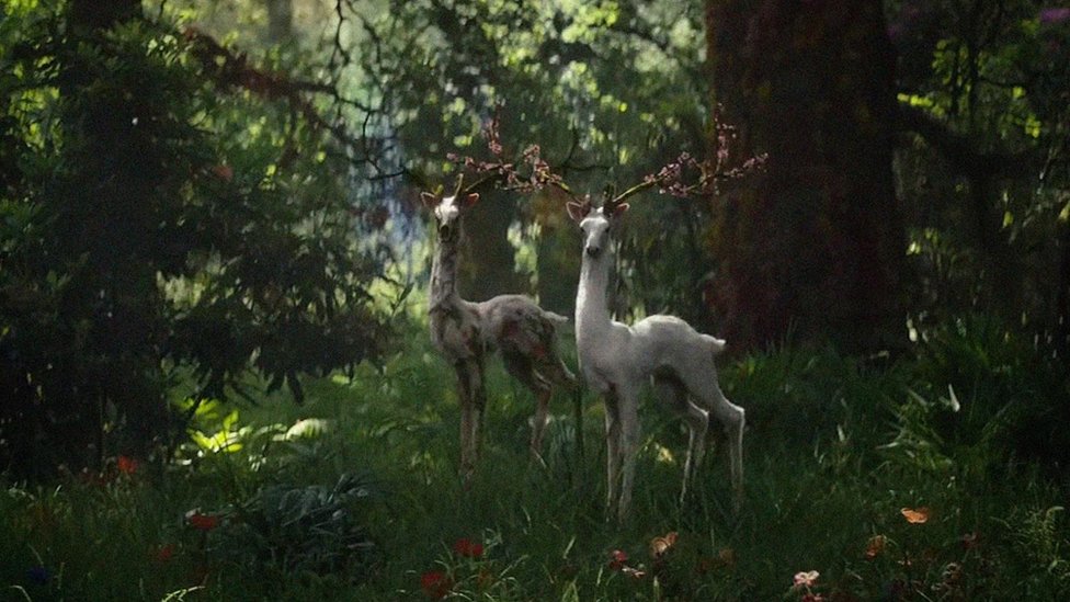 En la película Aniquilación, la naturaleza está deformada pero a menudo es extrañamente bella