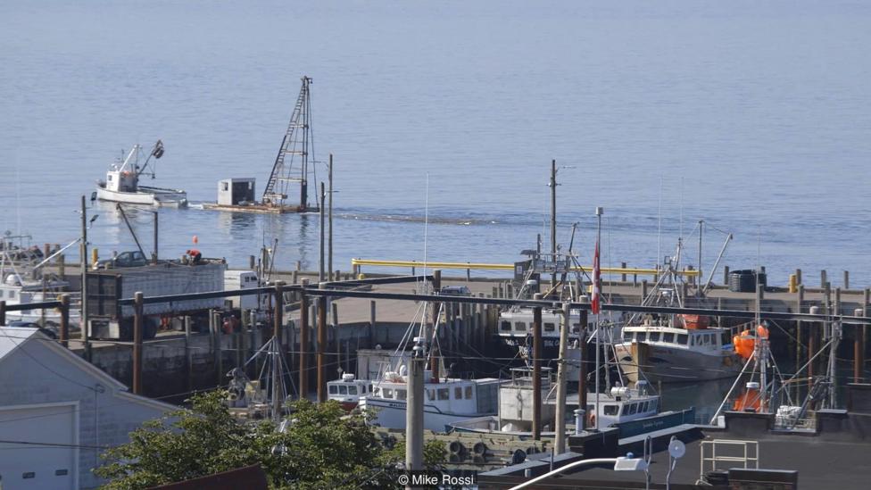 Ni los estadounidenses ni los canadienses quieren dejar de aprovechar la pesca en la zona fronteriza. El puerto pesquero canadiense en New Brunswick Foto: Mike Rossi