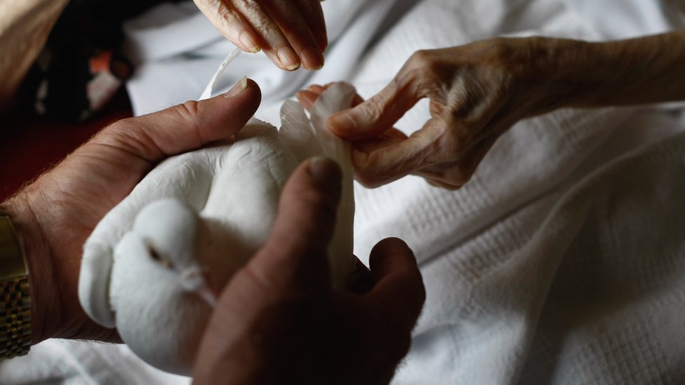 En los hospicios se intenta ayudar a las personas en el tránsito de la vida a la muerte. Manos de una persona mayor y manos de alguien sujetando una paloma