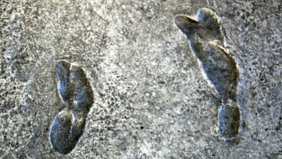 A mould of the the Laetoli footprints