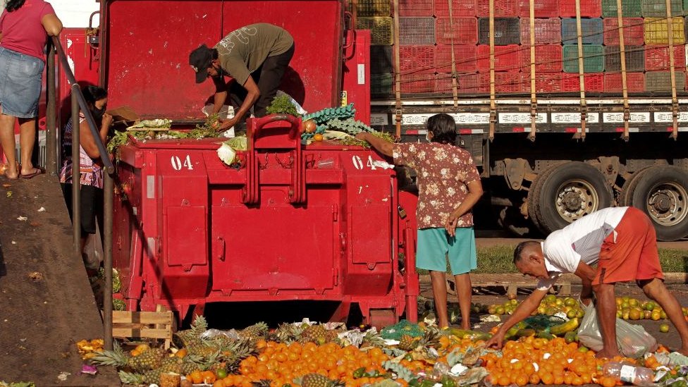 Pessoas coletam alimentos descartados em Belém, Pará