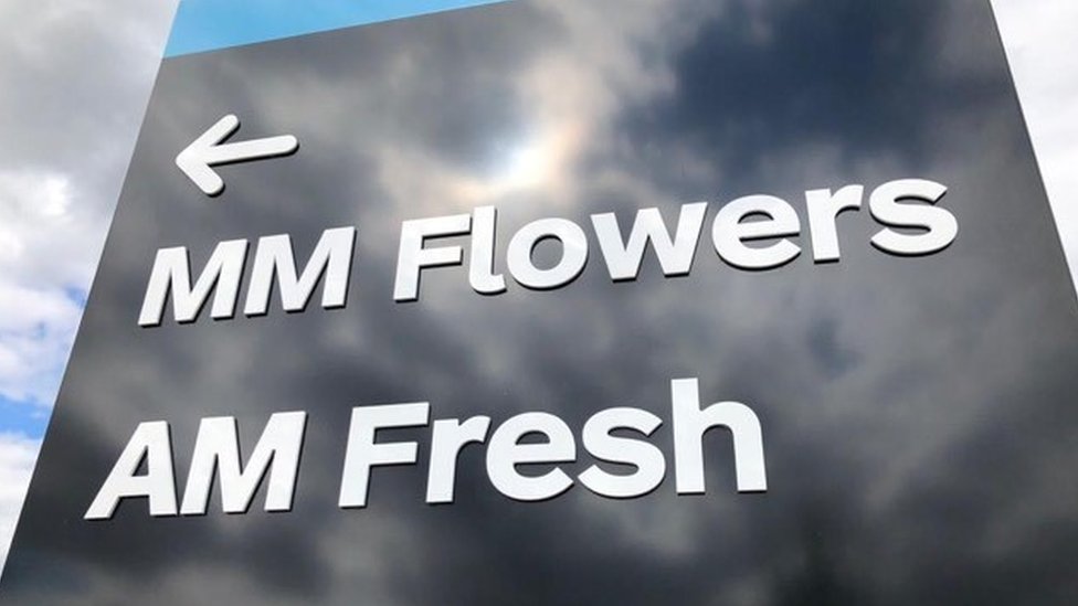 MM Flowers и AM Fresh