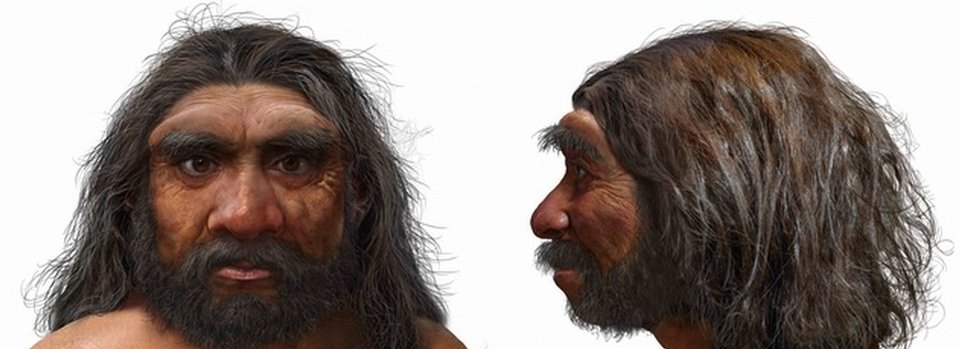 Homo longi, художня ілюстрація