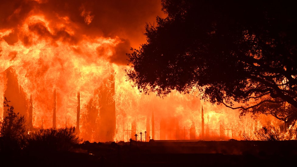 Главное здание Paras Vinyards горит в районе Маунт Видер в Напе, Калифорния, 10 октября 2017 года.