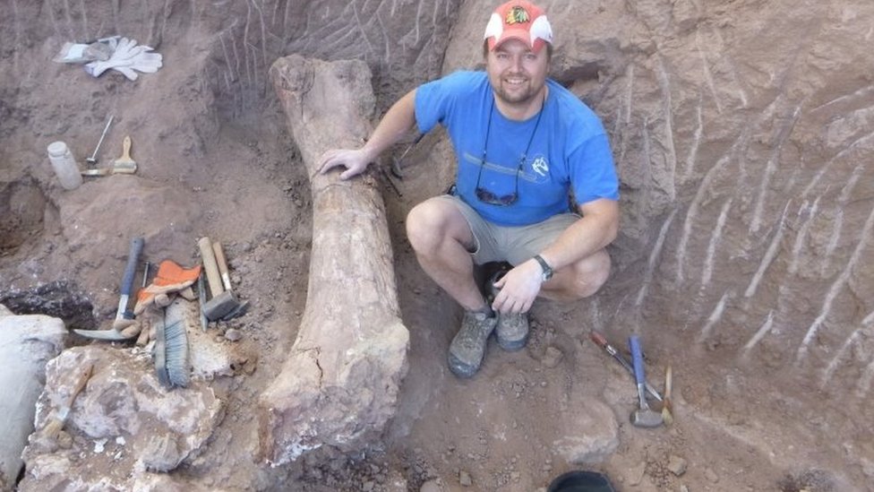 Cientistas encontram pistas sobre mistério dos braços curtos do  Tiranossauro rex, Ciência