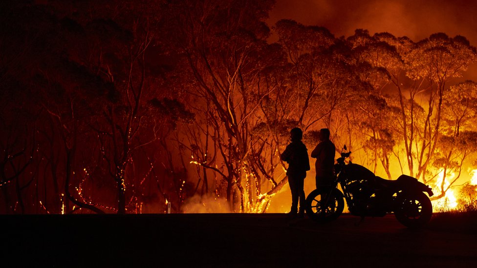 ਆਸਟਰੇਲੀਆ ਦੇ ਜੰਗਲਾਂ ਦੀ ਅੱਗ Australia bushfires