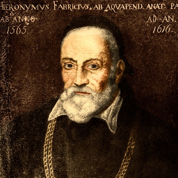 Hieronymus Fabricius ab Aquapendente