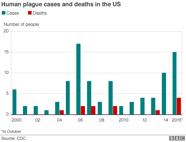 Why Hasn't The US Eradicated The Plague? - BBC News