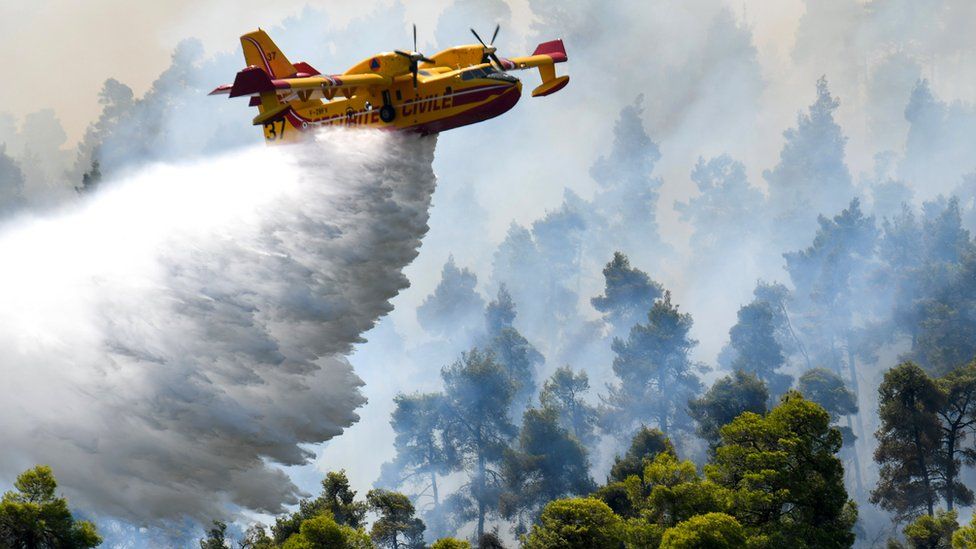 طائرة لمكافحة الحرائق تلقي بحمولتها من المياه على ألسنة اللهب اليوم الأحد.