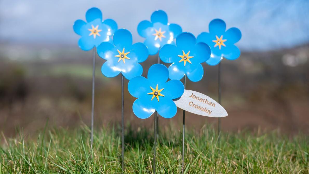 Hospice Isle of Man forget-me-not art scheme a 'lasting tribute