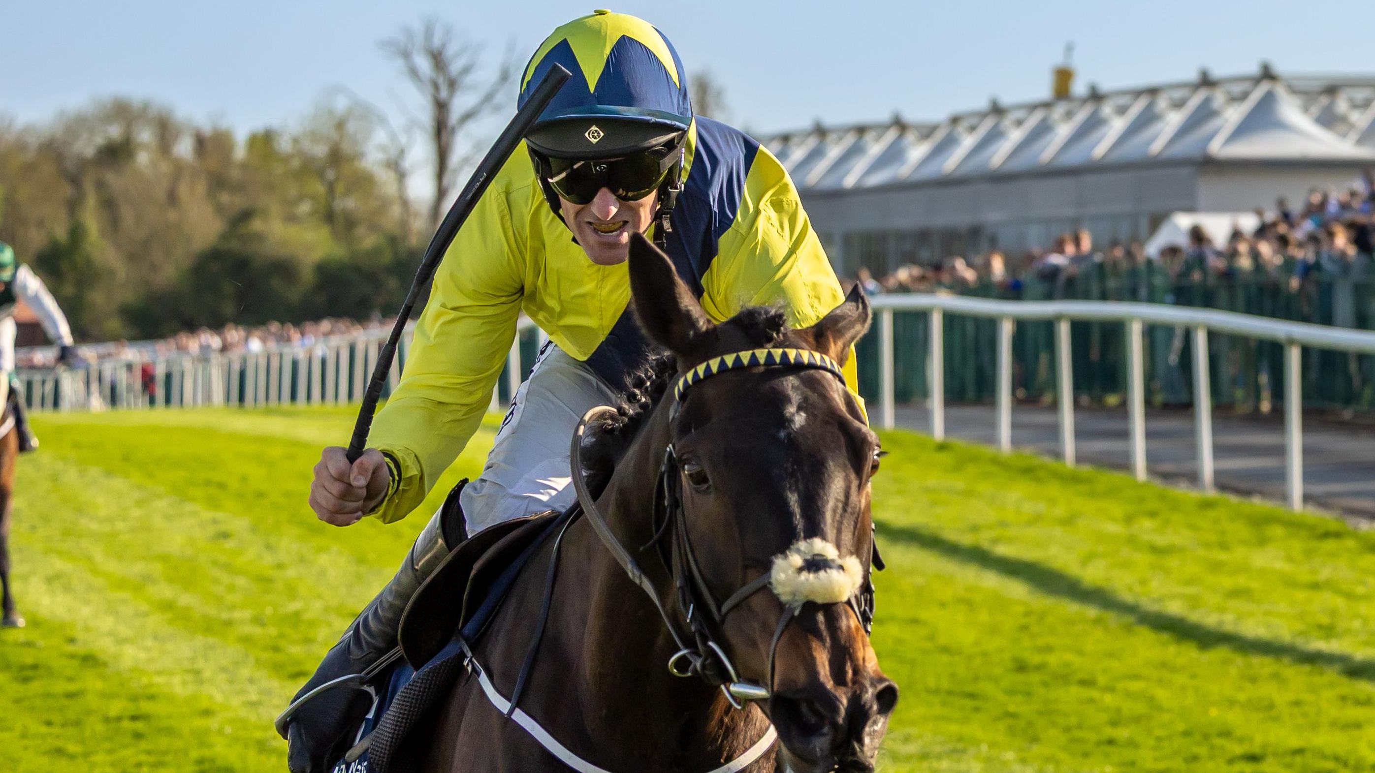 Punchestown Festival: Marine Nationale gets better of Fact to File