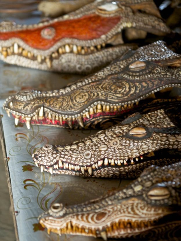 buaya, papua nugini, tradisional, kulit