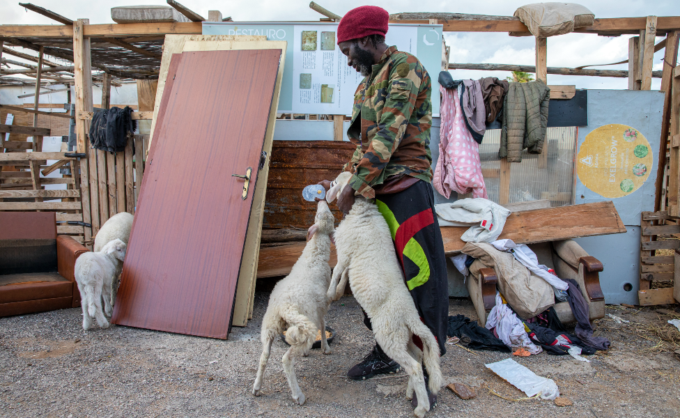 A man feeds a bottle of milk to young lambs in the ghetto outside Campobello di Mazara, Sicily, in Italy