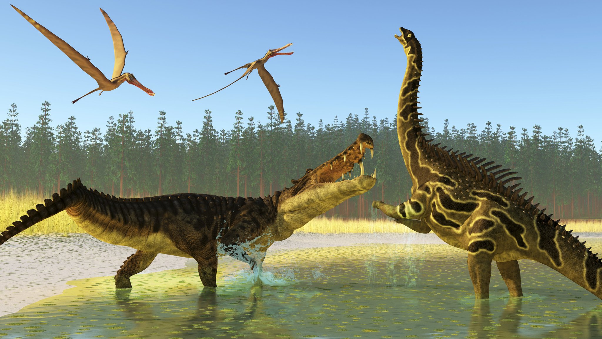 New study confirms the power of Deinosuchus a